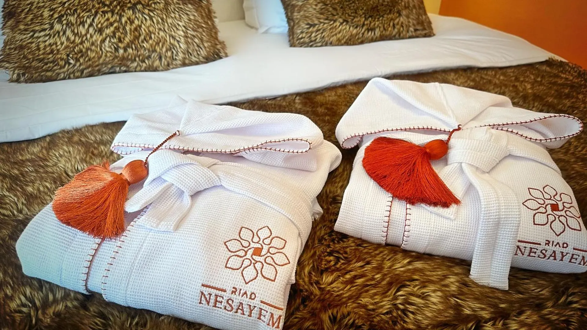 Riad Nesayam Marrakesh 0*,