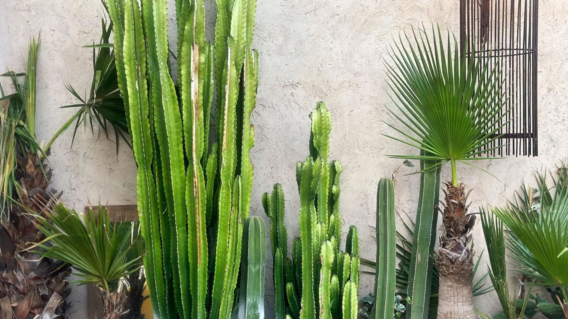 Riad Nesayam Marrakesh Apartment